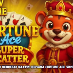 Kunci Kemenangan Gacor ala Sang Bounty Hunter